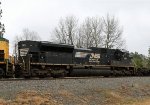 NS 1113